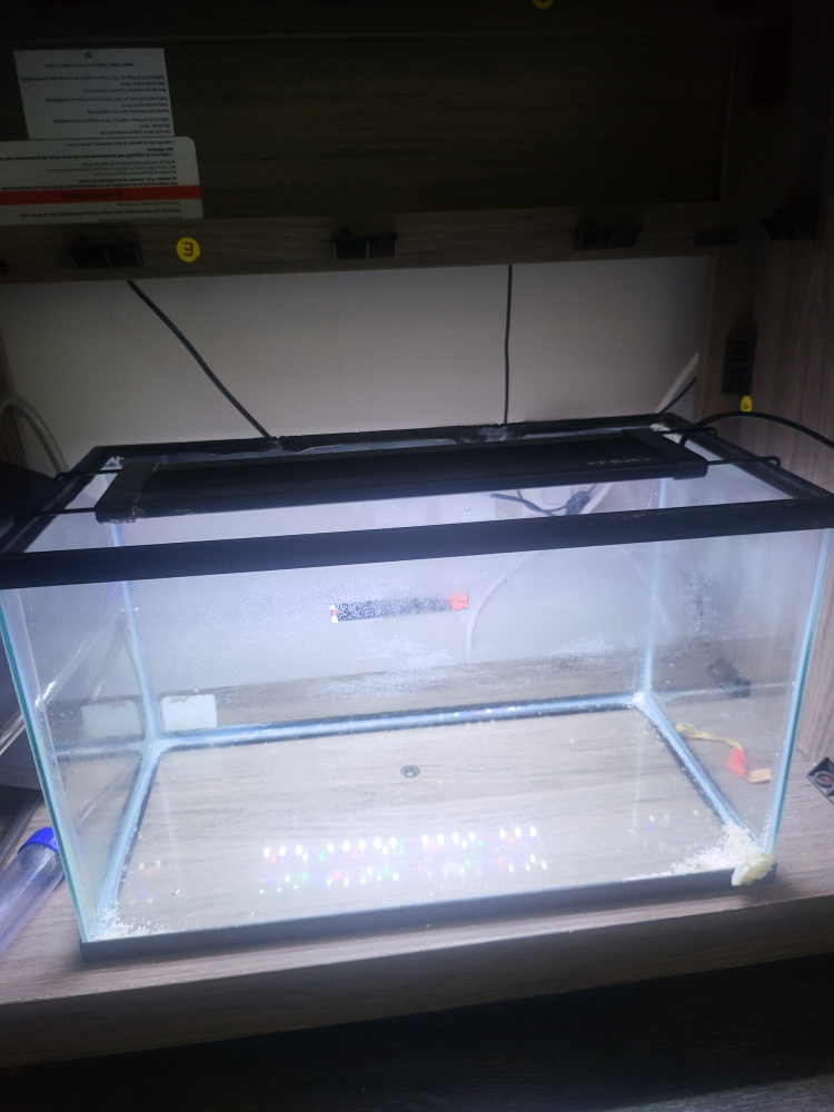 10 Gallon Aquarium with LED Lights (7 color)