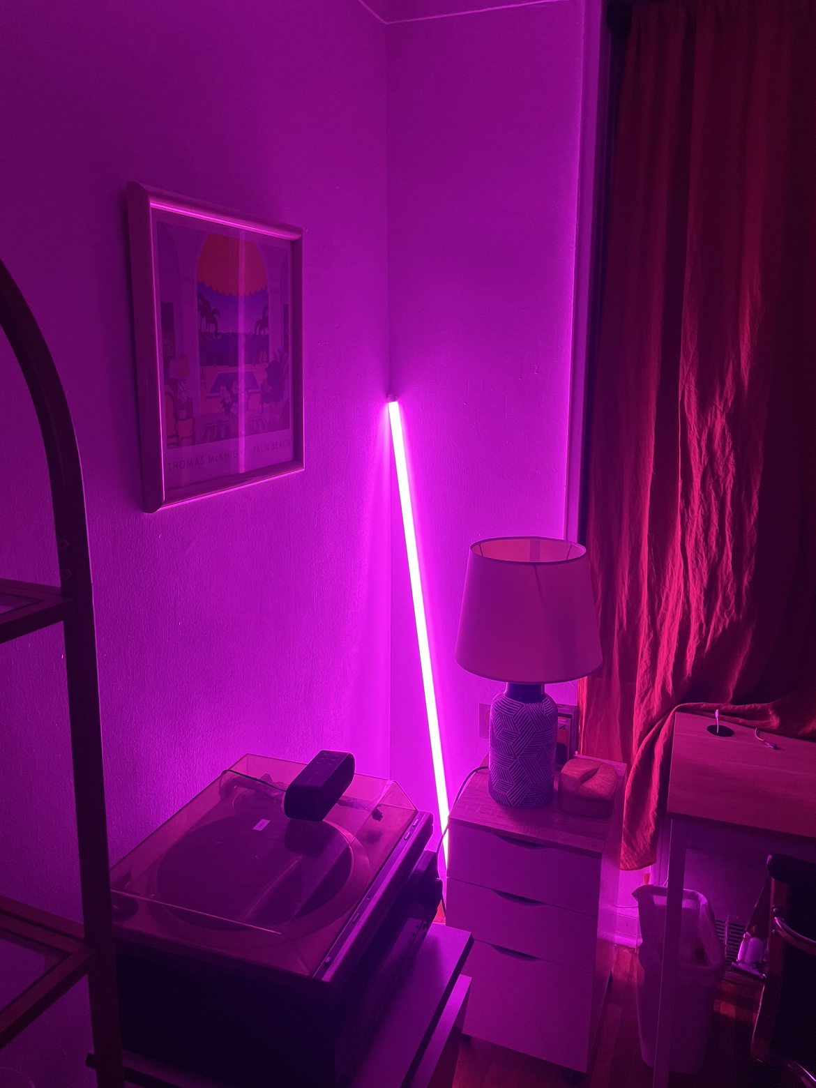 Echo Neon Pink Tube Light - photo 2