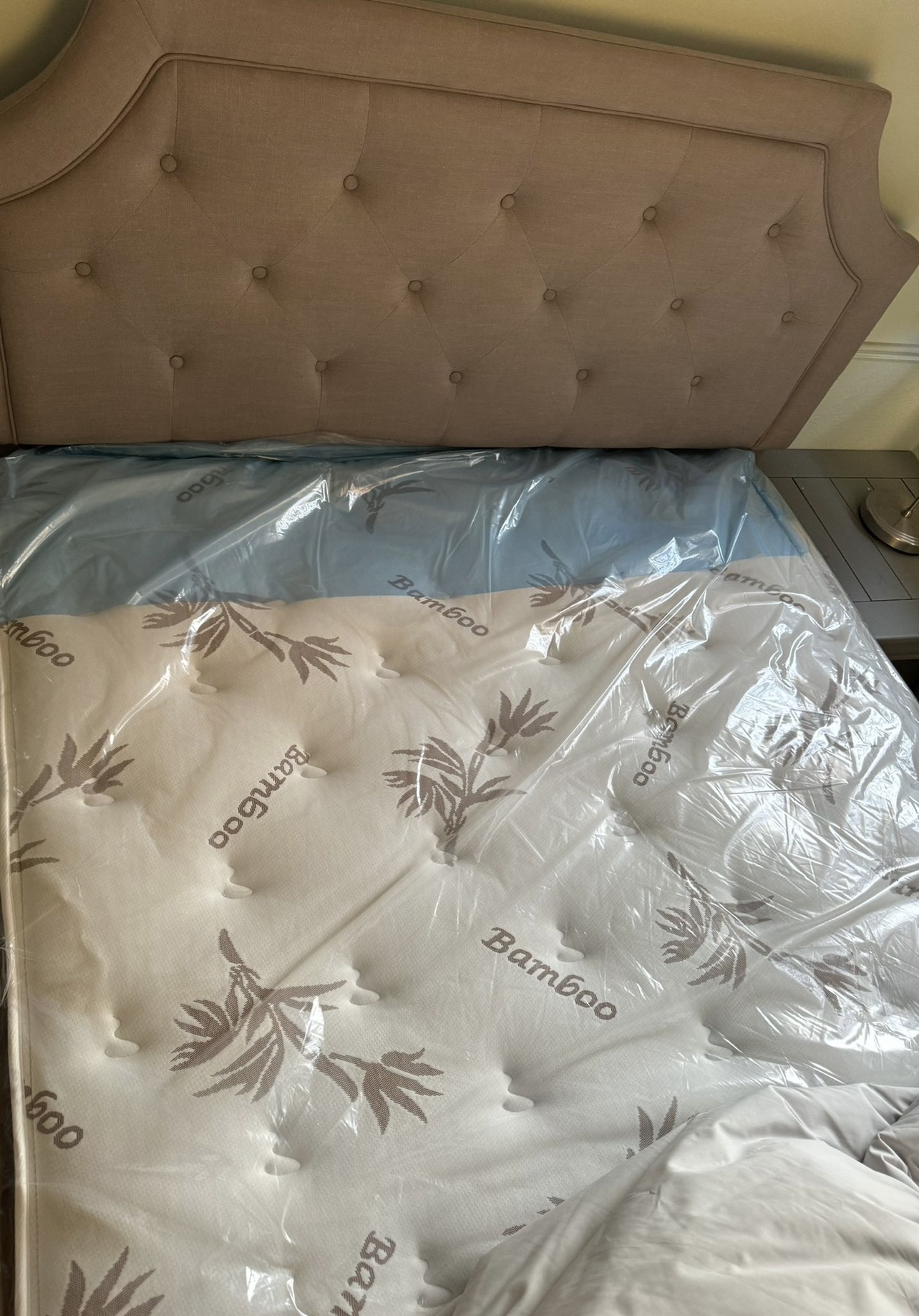Mattress ONLY