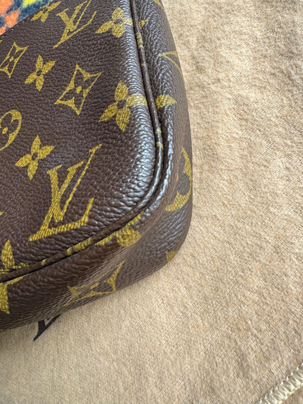 Louis Vuitton Monogram Pochette Accessoires image indicator(9)