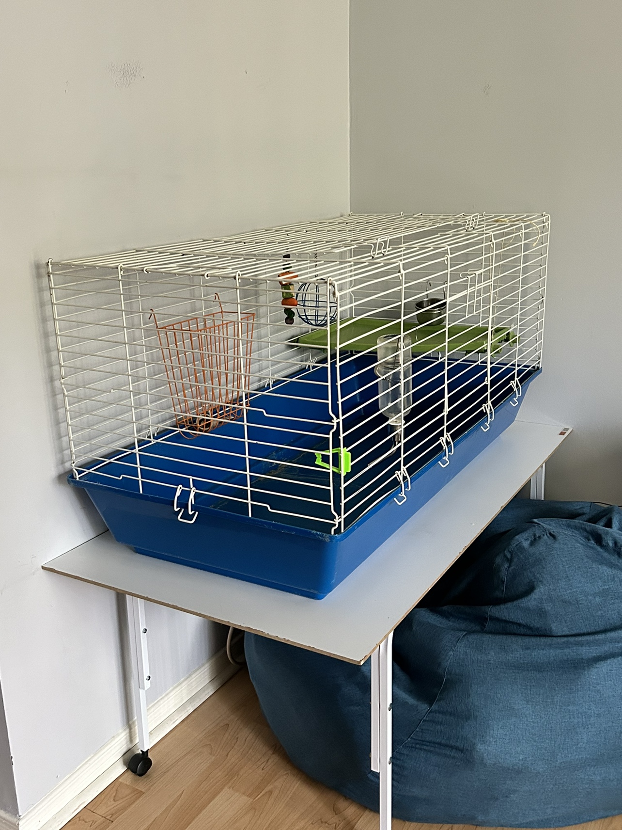 Cage and Stand