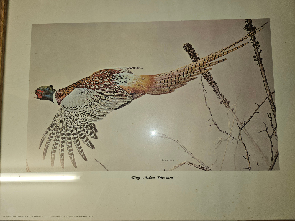 Glen Loates Vintage painted animal wall art work home decor image indicator(2)