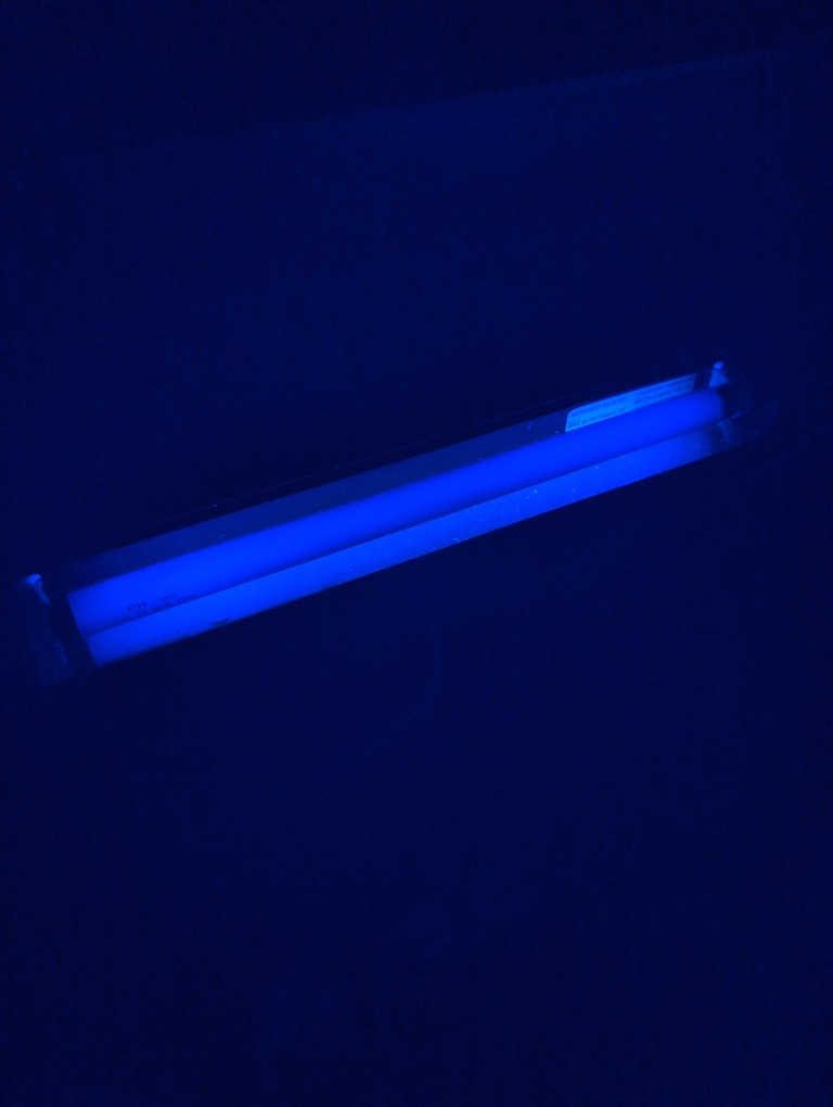 Blacklight 18" thumbnail