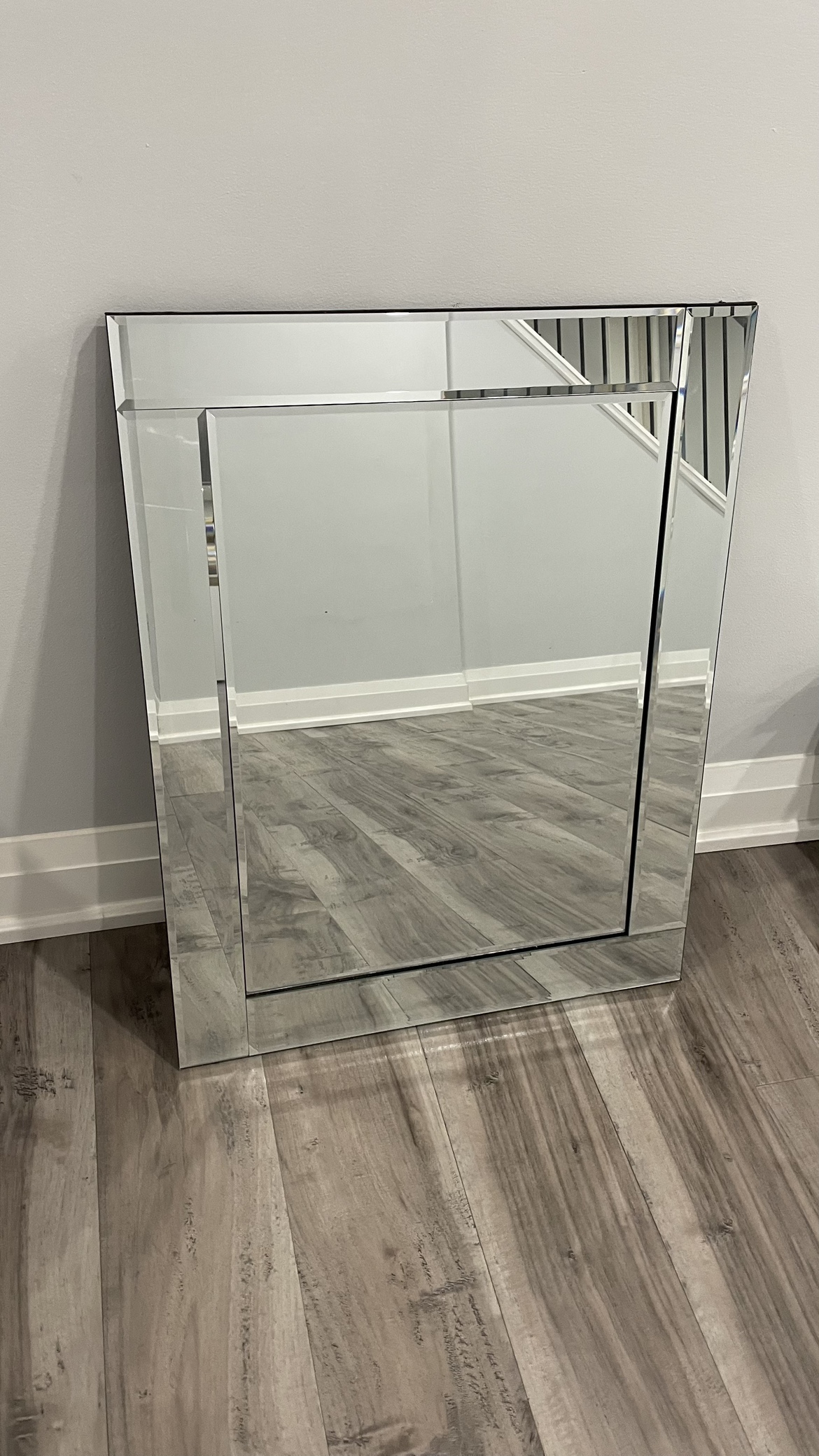 Rectangular Renin Brazin Frame Beveled Edge Mirror