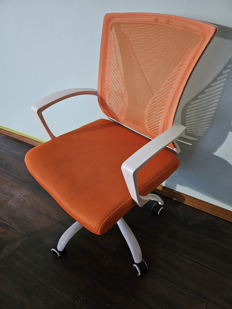 Moving Sale: Desk Chair