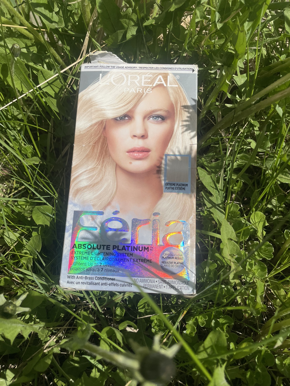 🥕hair dye🥕