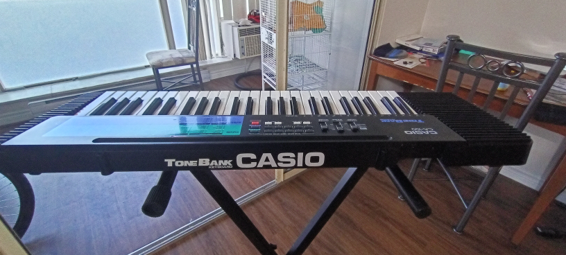 Casio Keyboard  with stand - photo 4