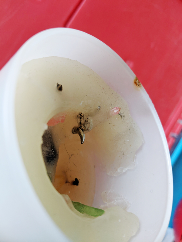 Witchy candles leftovers 🕯️ Moving Sale! image indicator(2)