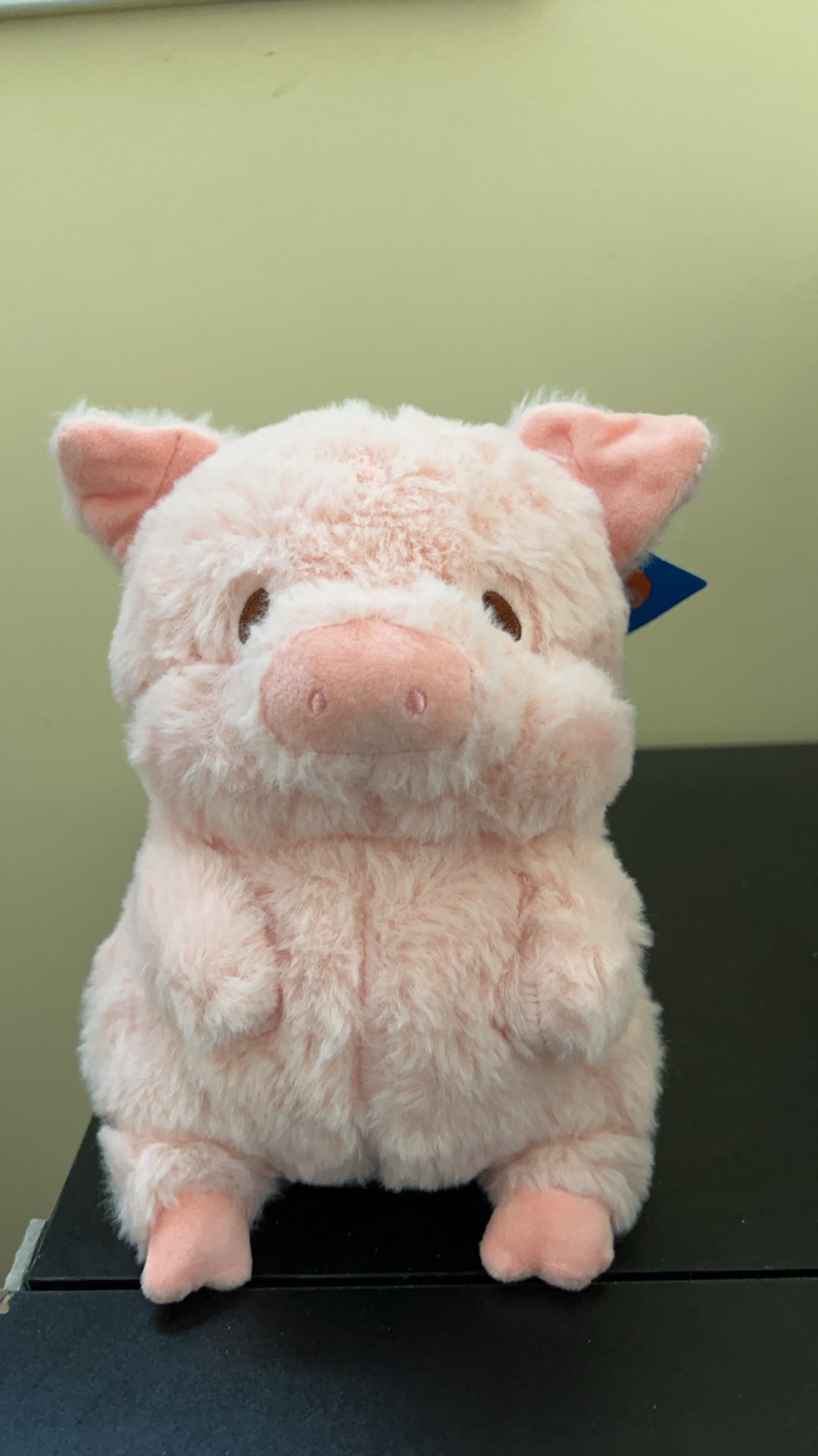 Plush