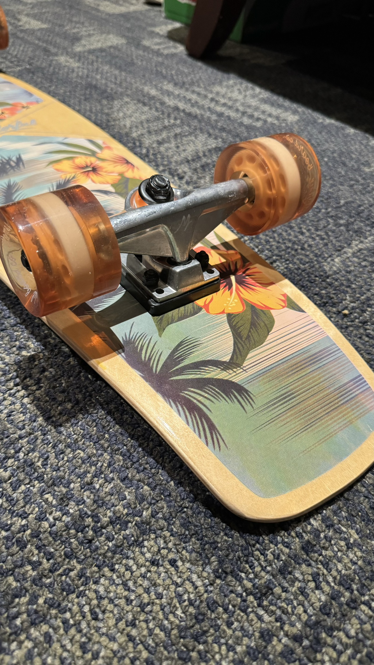 Cruiser Skateboard Zoo York (Wonderful Series)