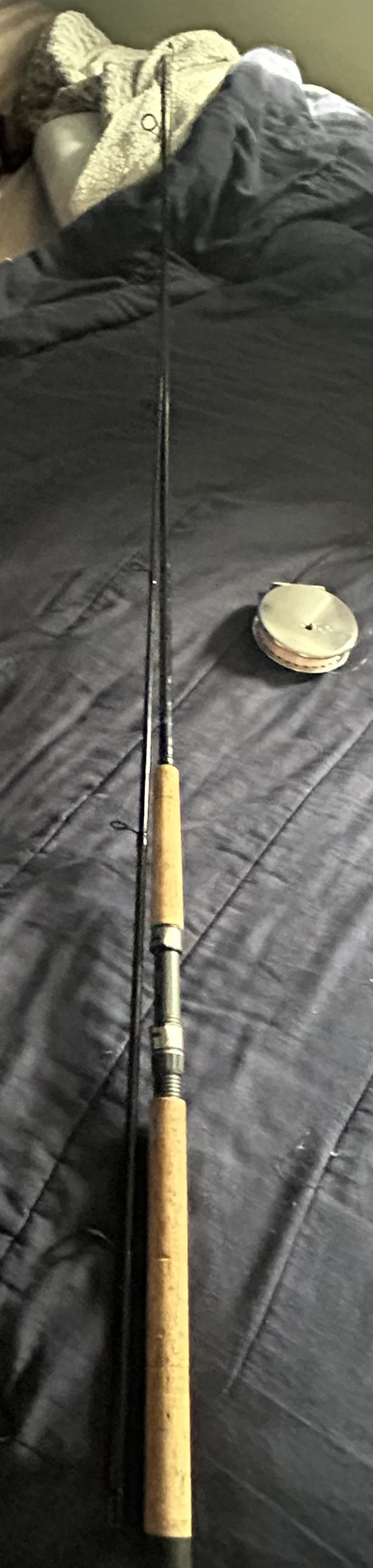 Float reel and fishing rod thumbnail