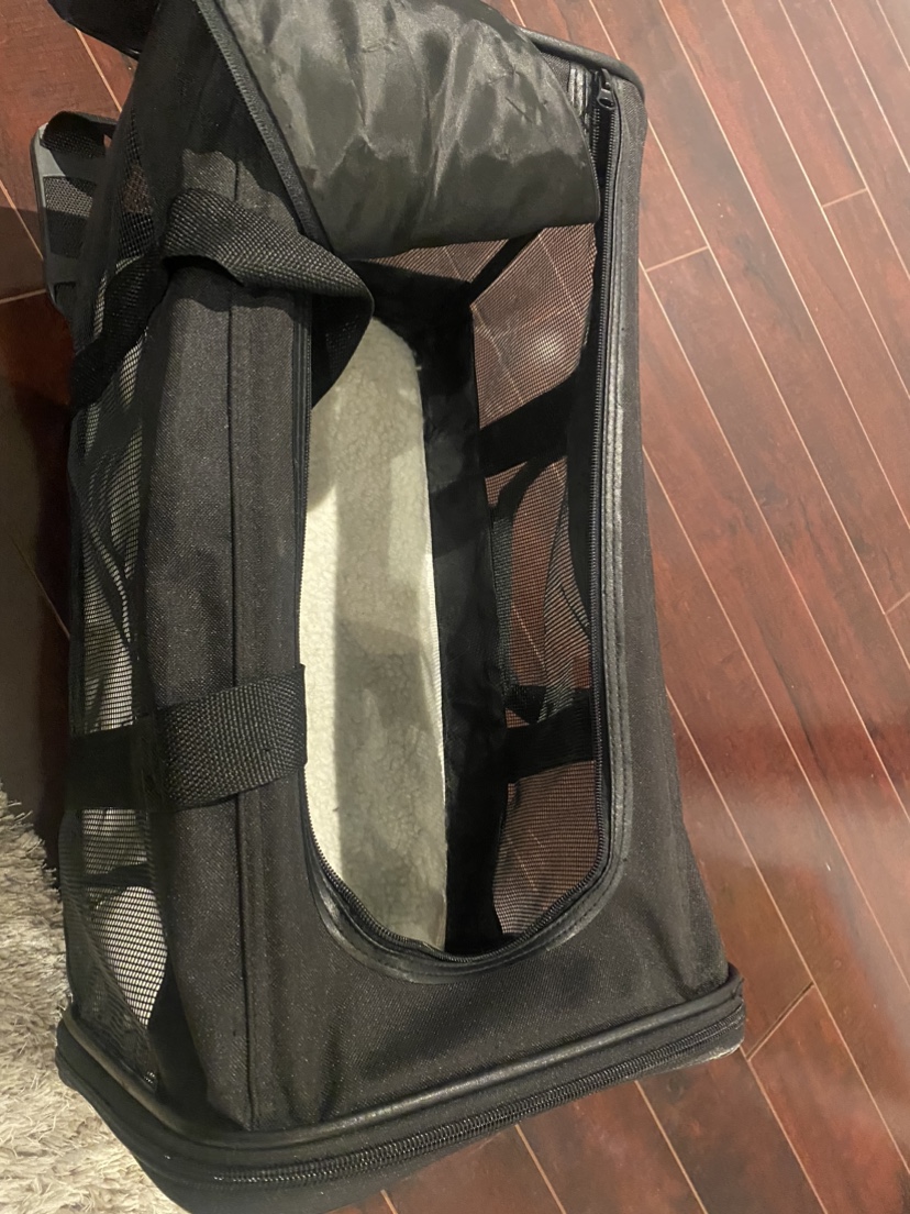 Cat transport - photo 2
