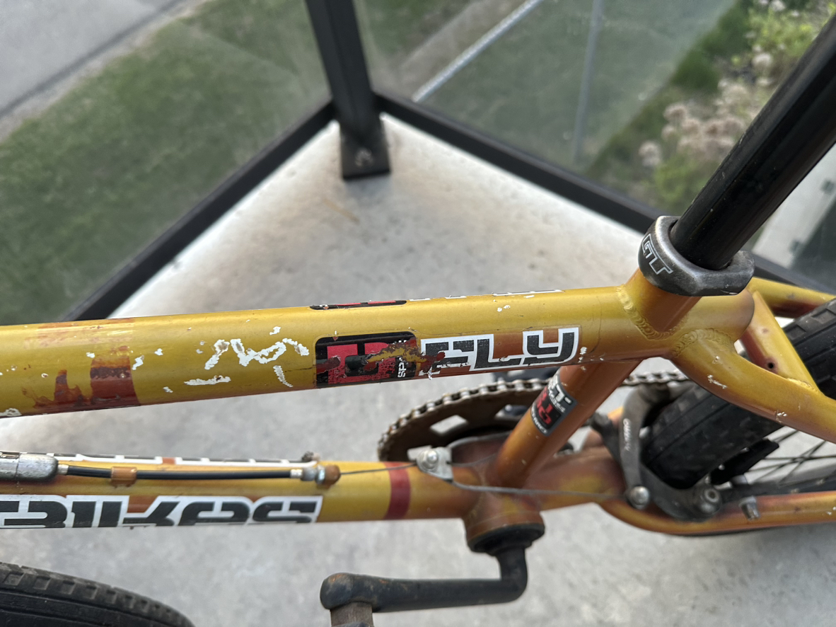 GT Bikes GT Fly BMX Bike - photo 3