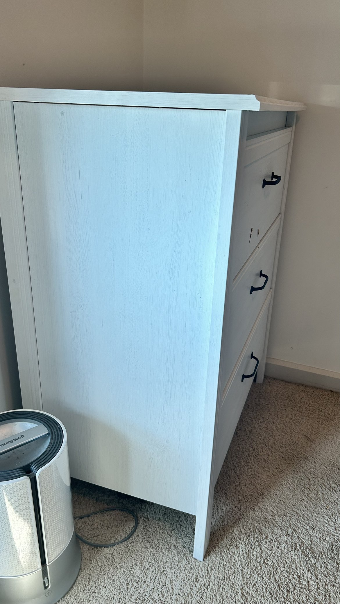 Dressor - photo 2