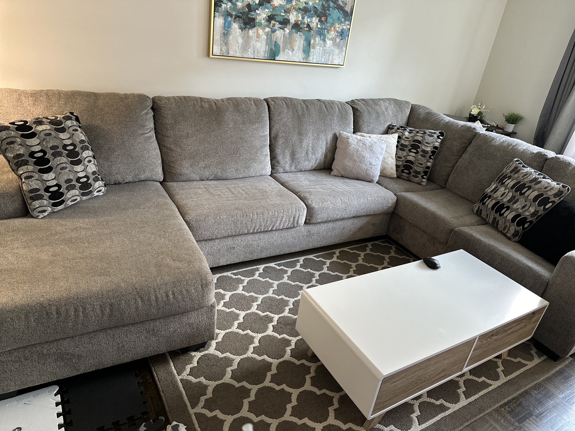 Ashley sectional- left chaise