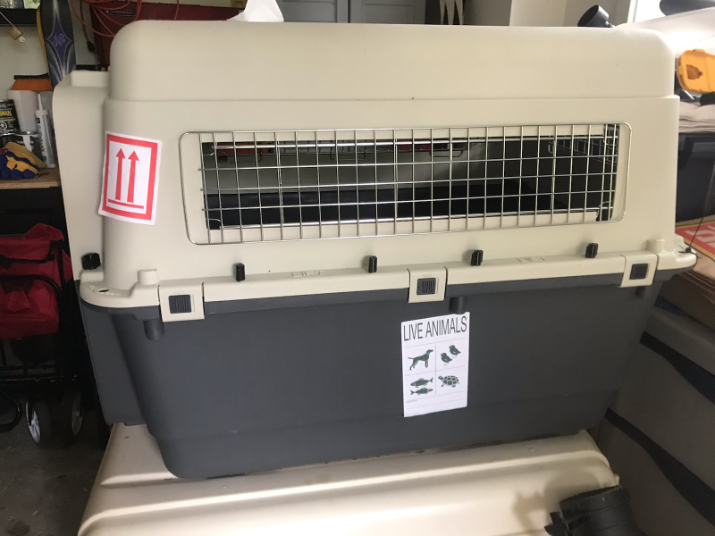 Large Dog Crate thumbnail