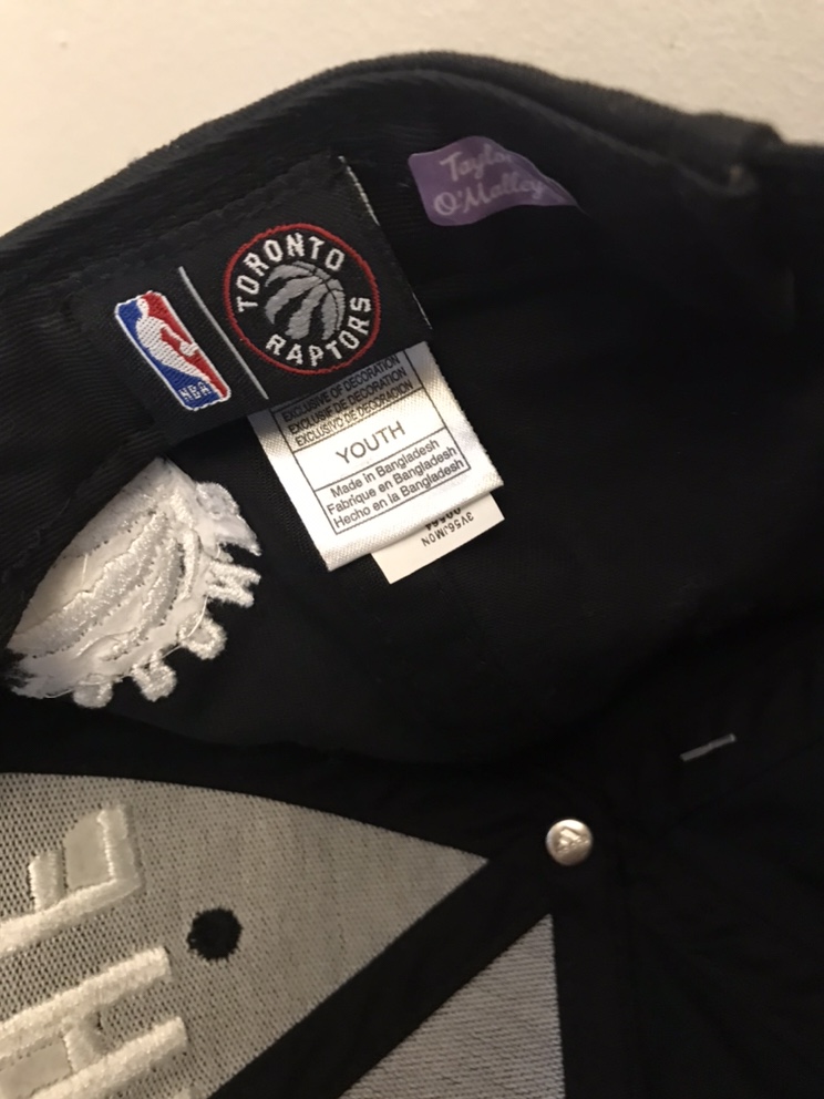 “We The North” Toronto Raptors Youth Hat image indicator(4)