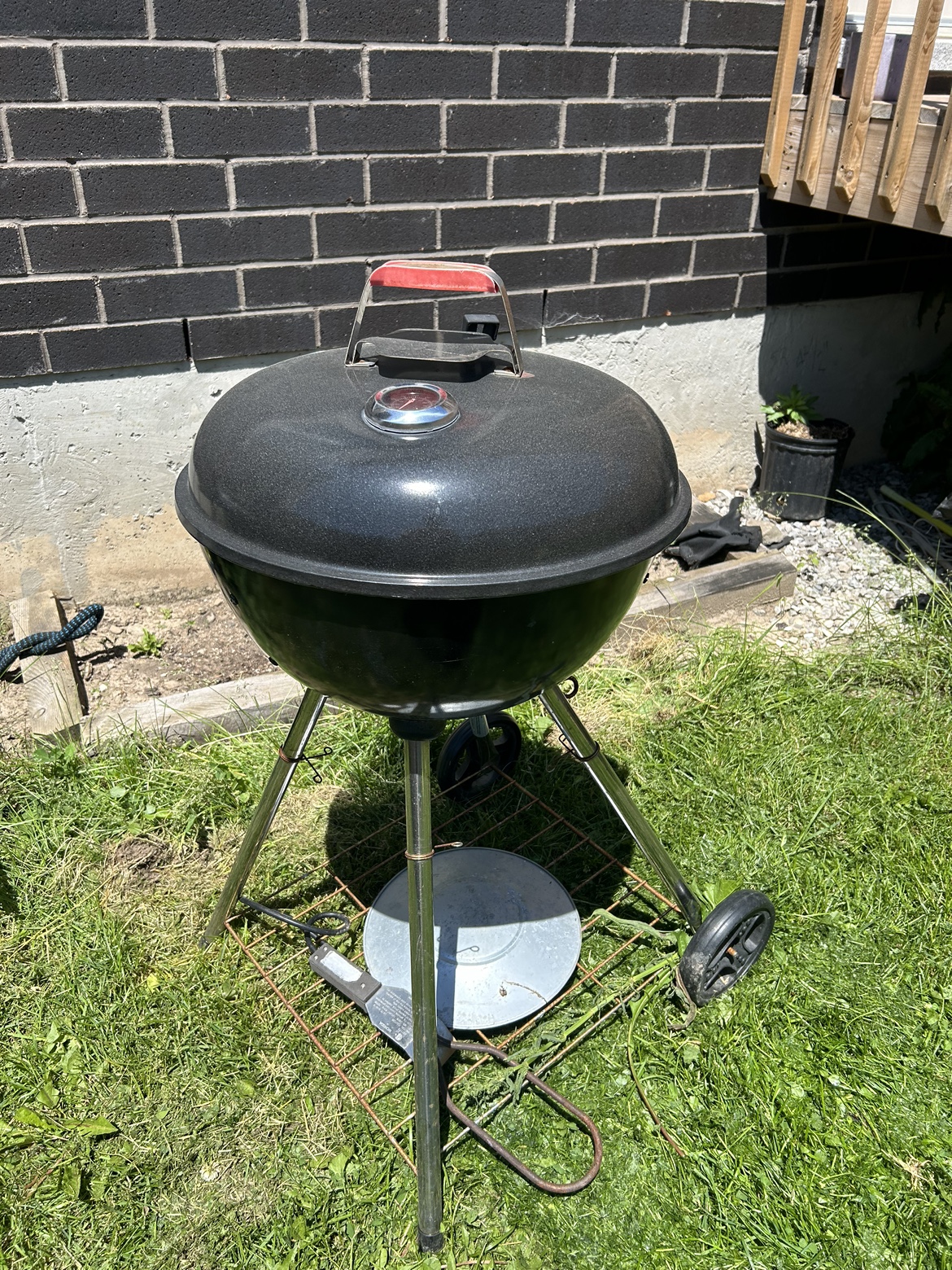 Bbq