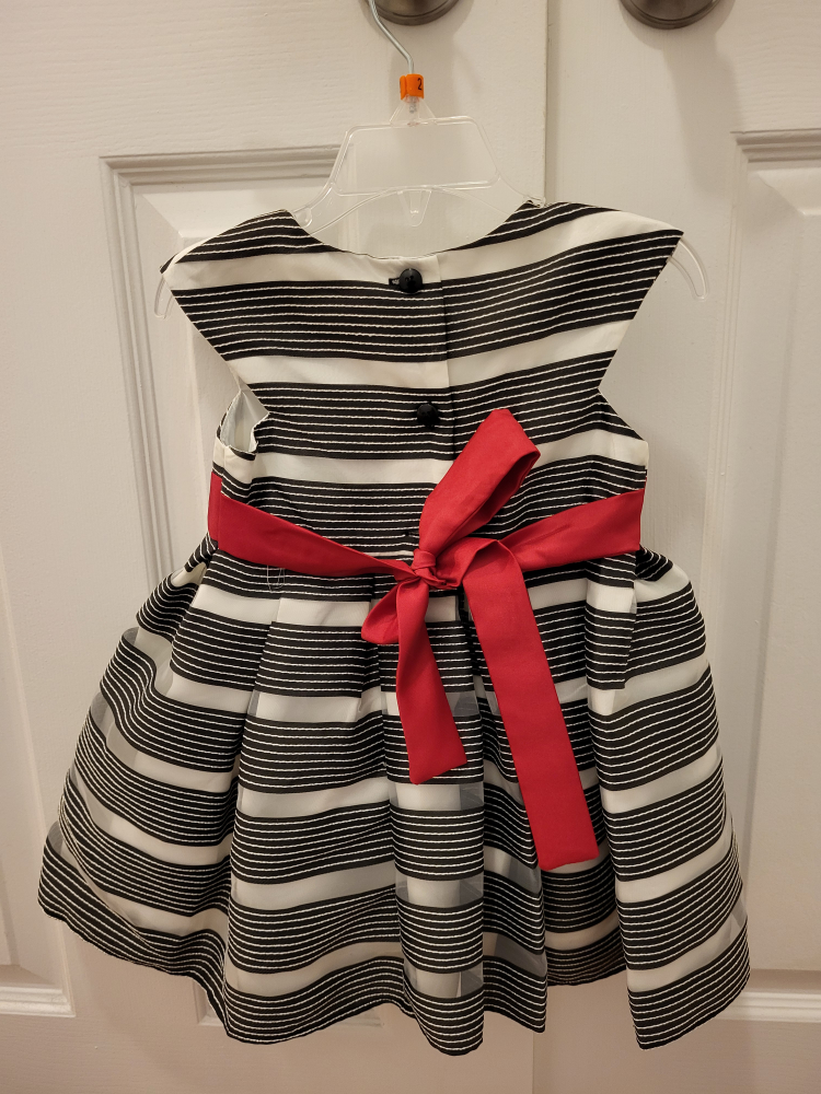 Jona Michelle Toddler Dress Size 2 image indicator(2)
