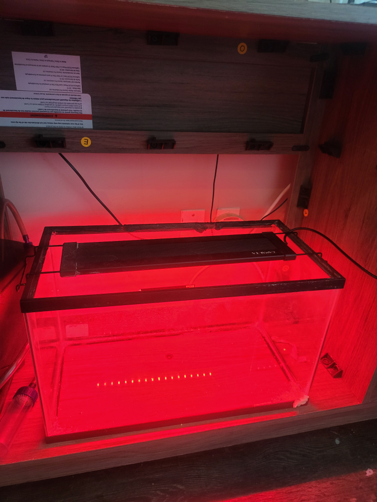 10 Gallon Aquarium with LED Lights (7 color) - photo 3