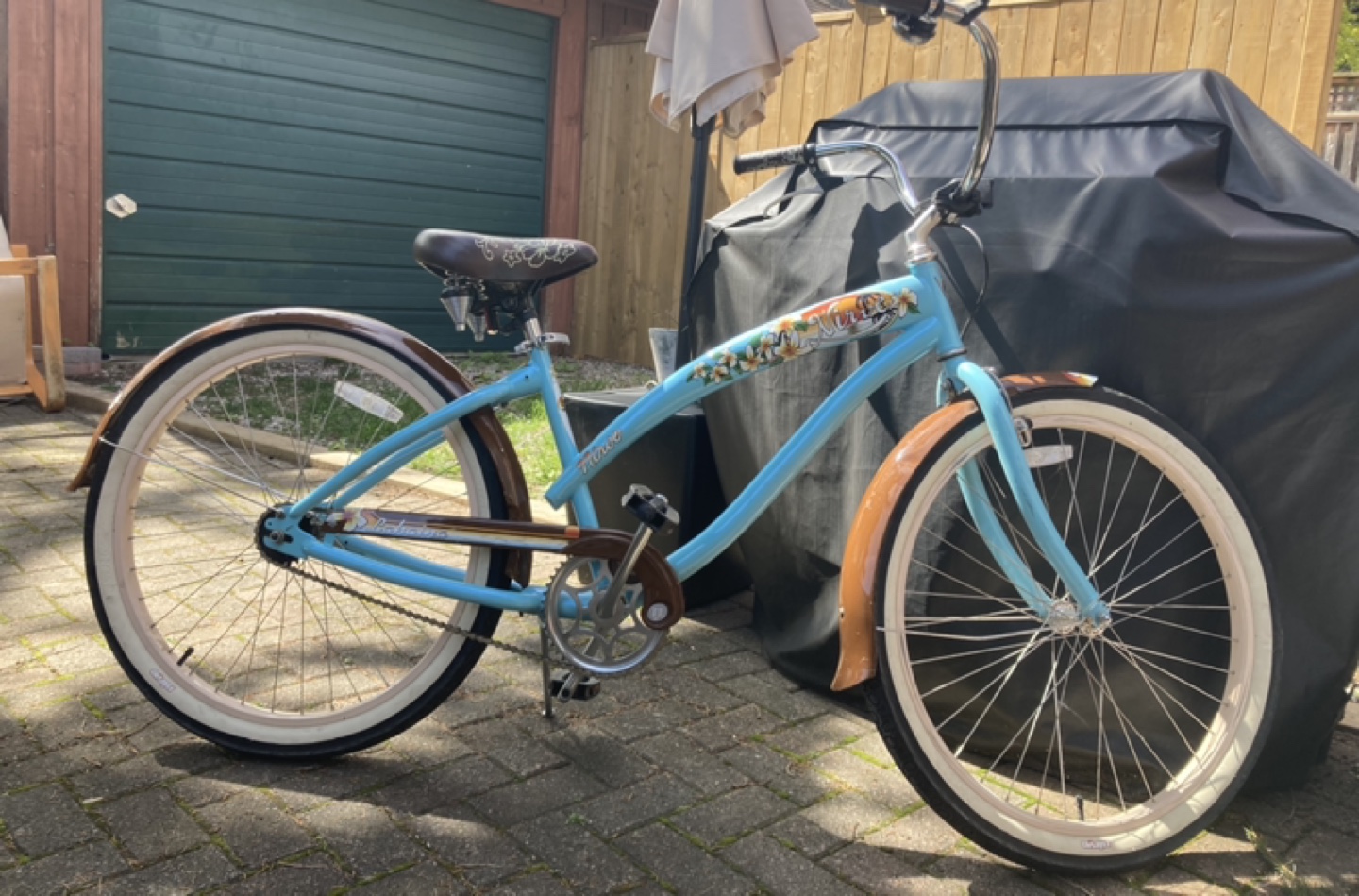 Beach Cruiser bike thumbnail