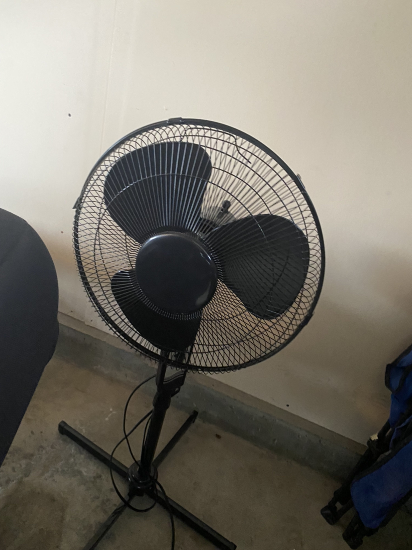 “🧡” standing fan black