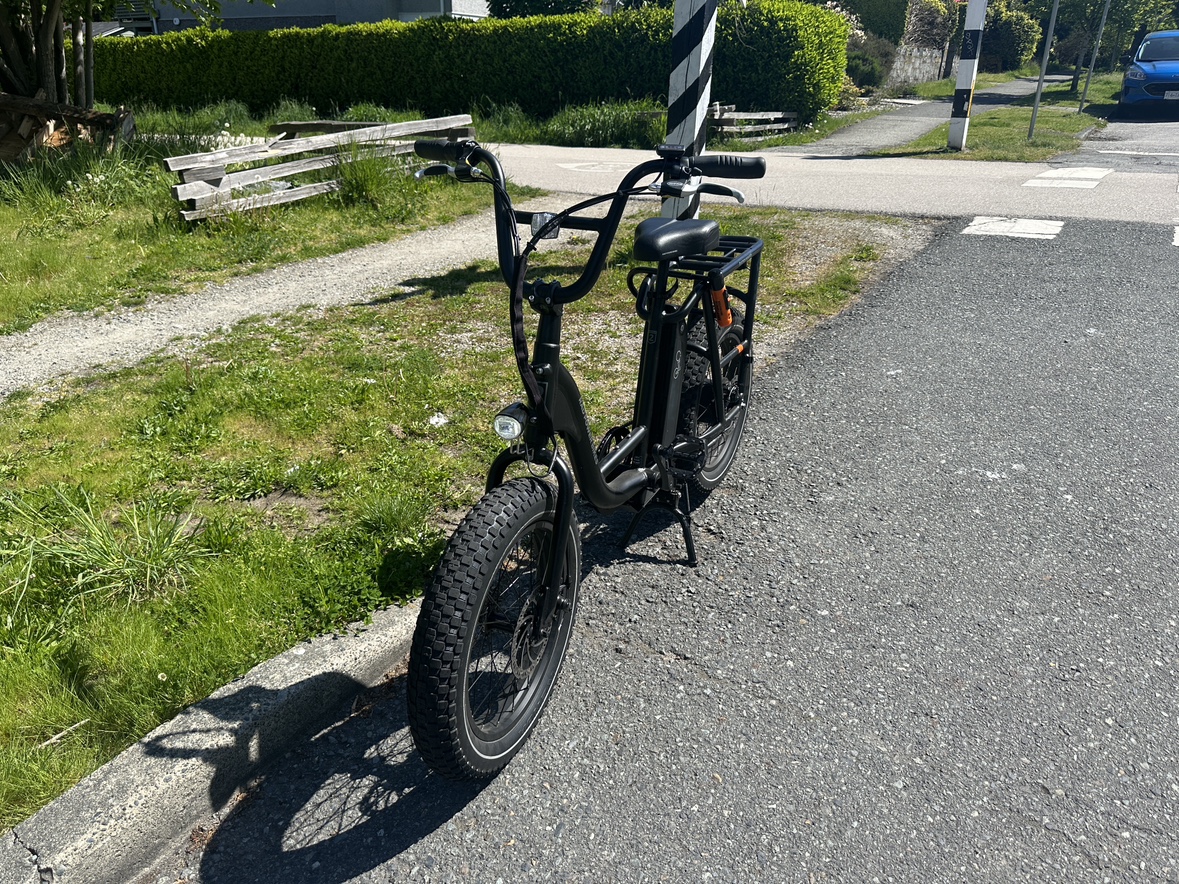 RadRunner 2 E-Bike - photo 2