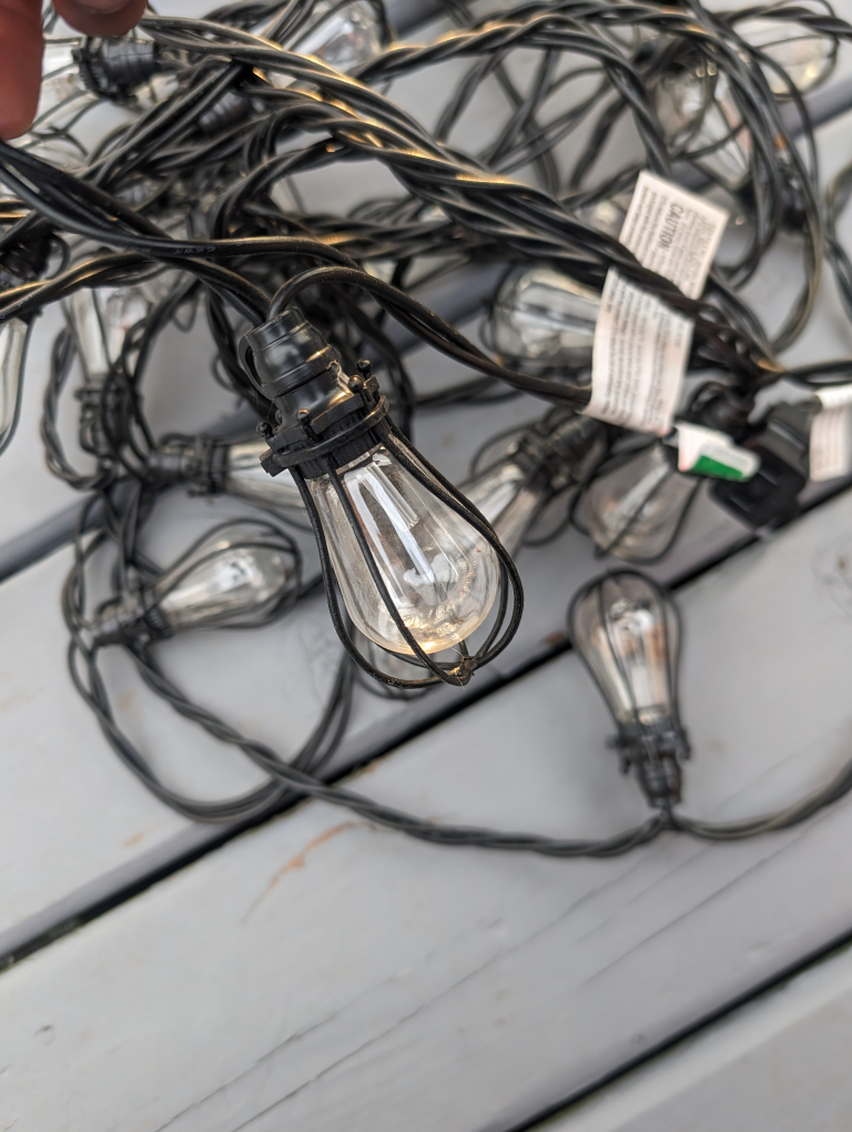 Edison indoor & outdoor bulbs