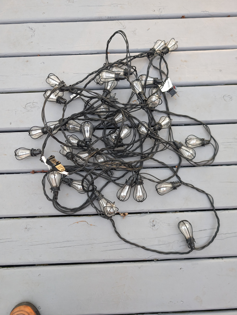 Edison indoor & outdoor bulbs - photo 3