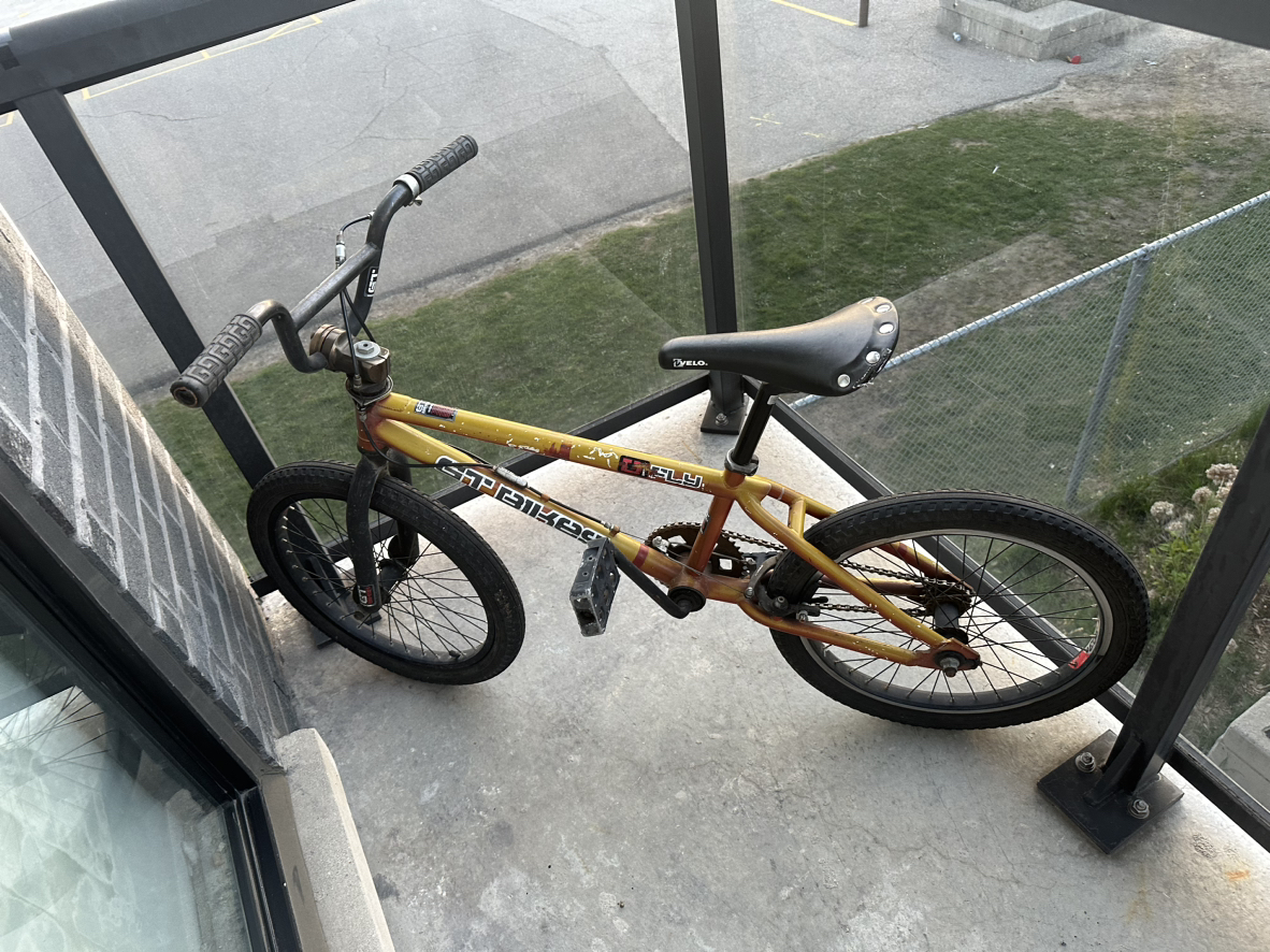 GT Bikes GT Fly BMX Bike
