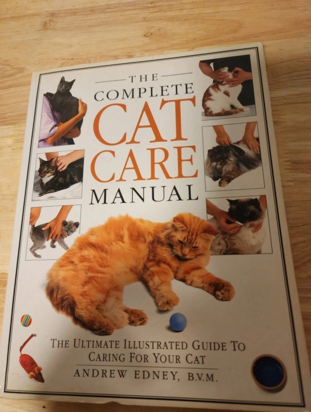 Cat care guide image indicator(2)