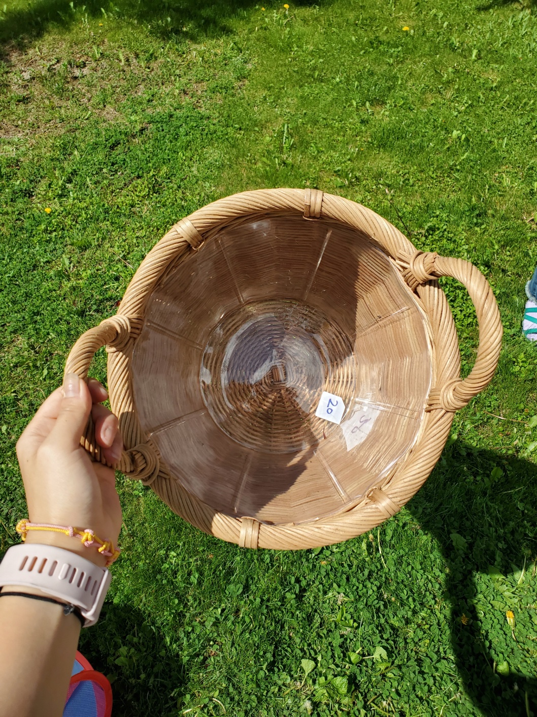 IKEA rattan plant pot 9.5in, kaktusfikon
