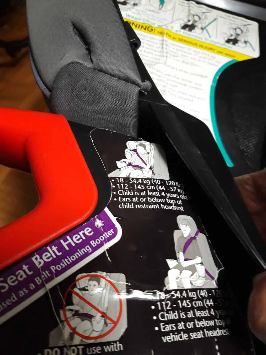 Evenflo Car Seat/Booster image indicator(6)