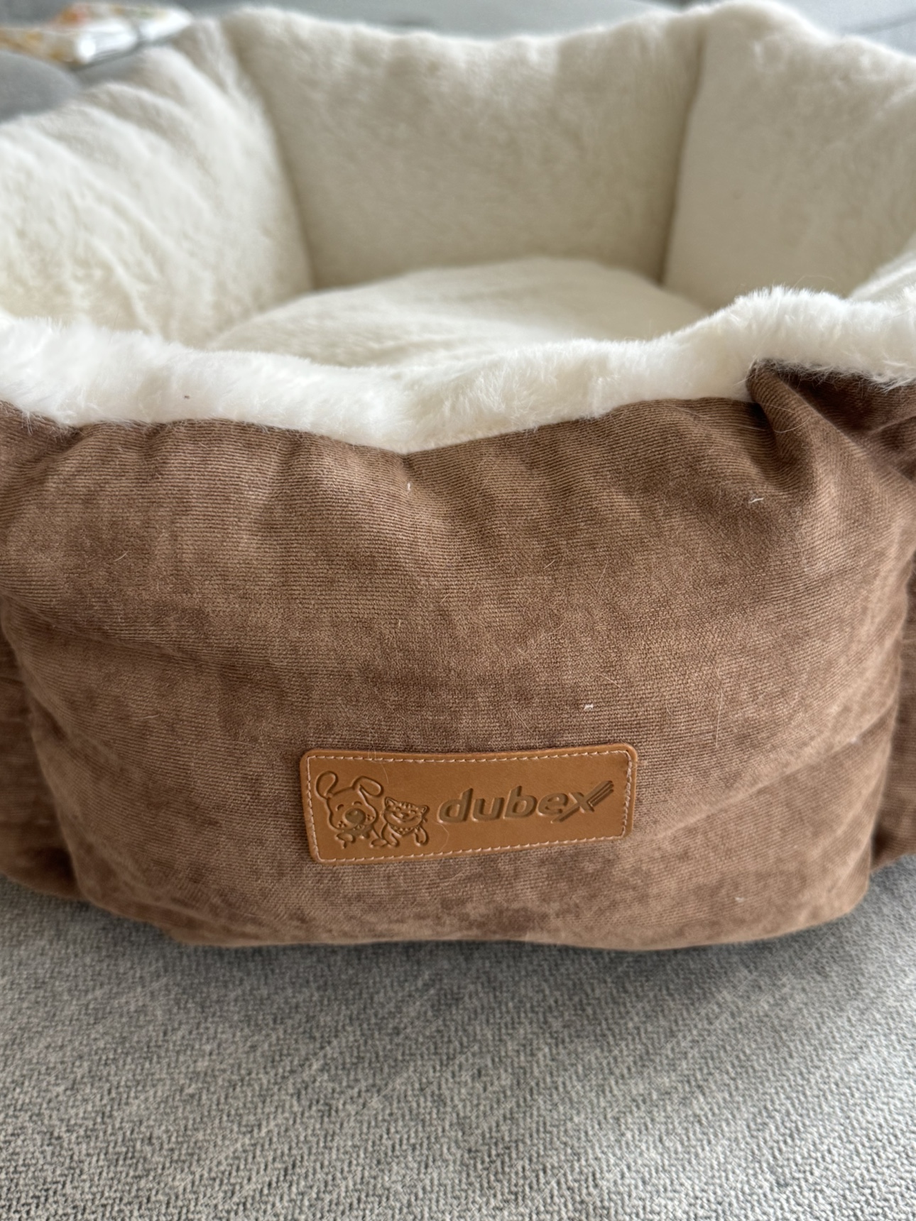 Cat Cushion