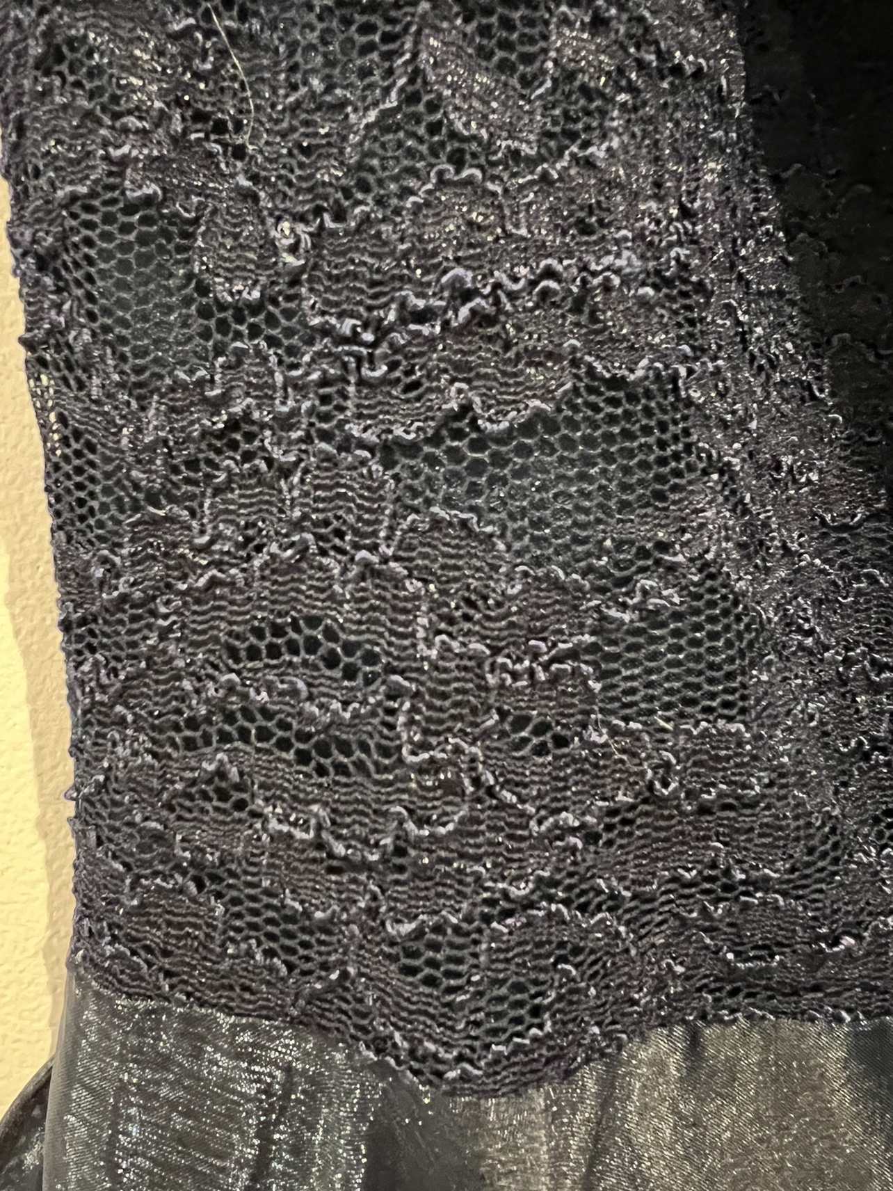 Grad/Prom, Dk Blue Lace/sheer satin & iridescent organza size 12 image indicator(7)