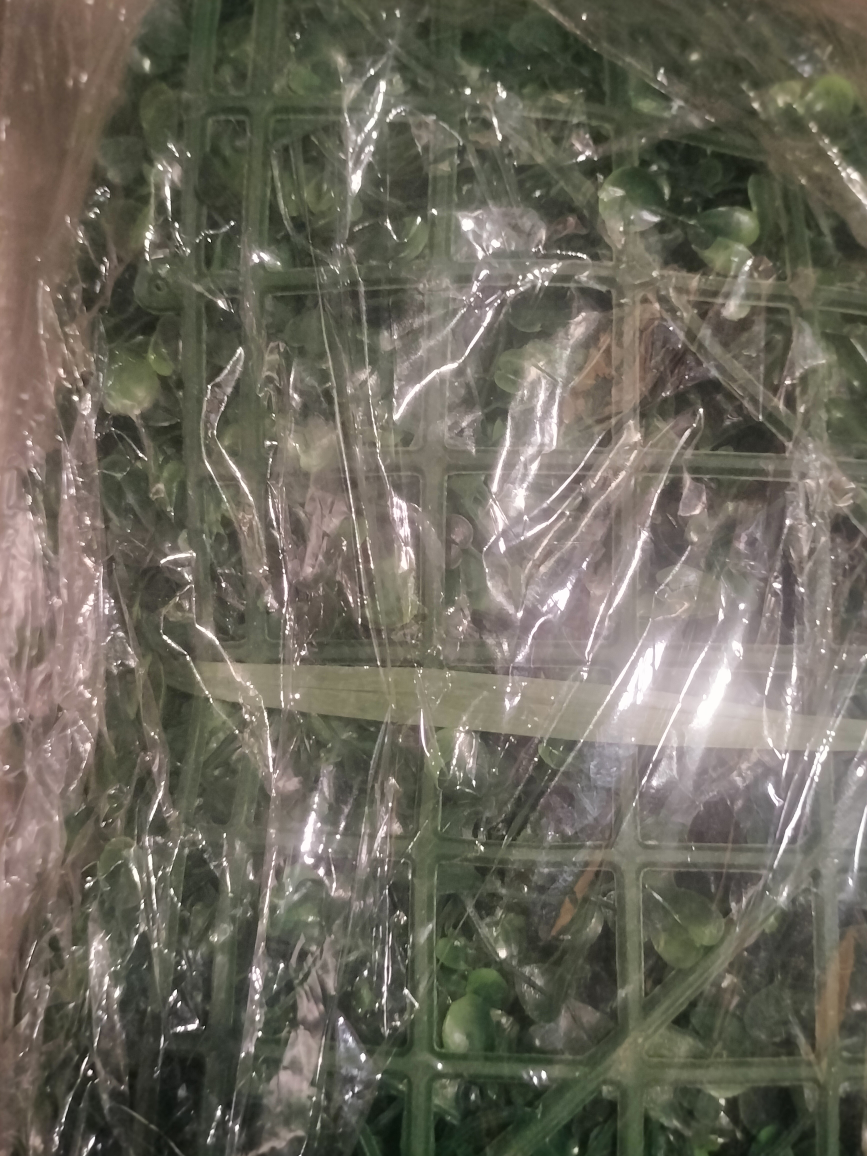 Artificial Grass Decor With Backing For Wall Placement - photo 2