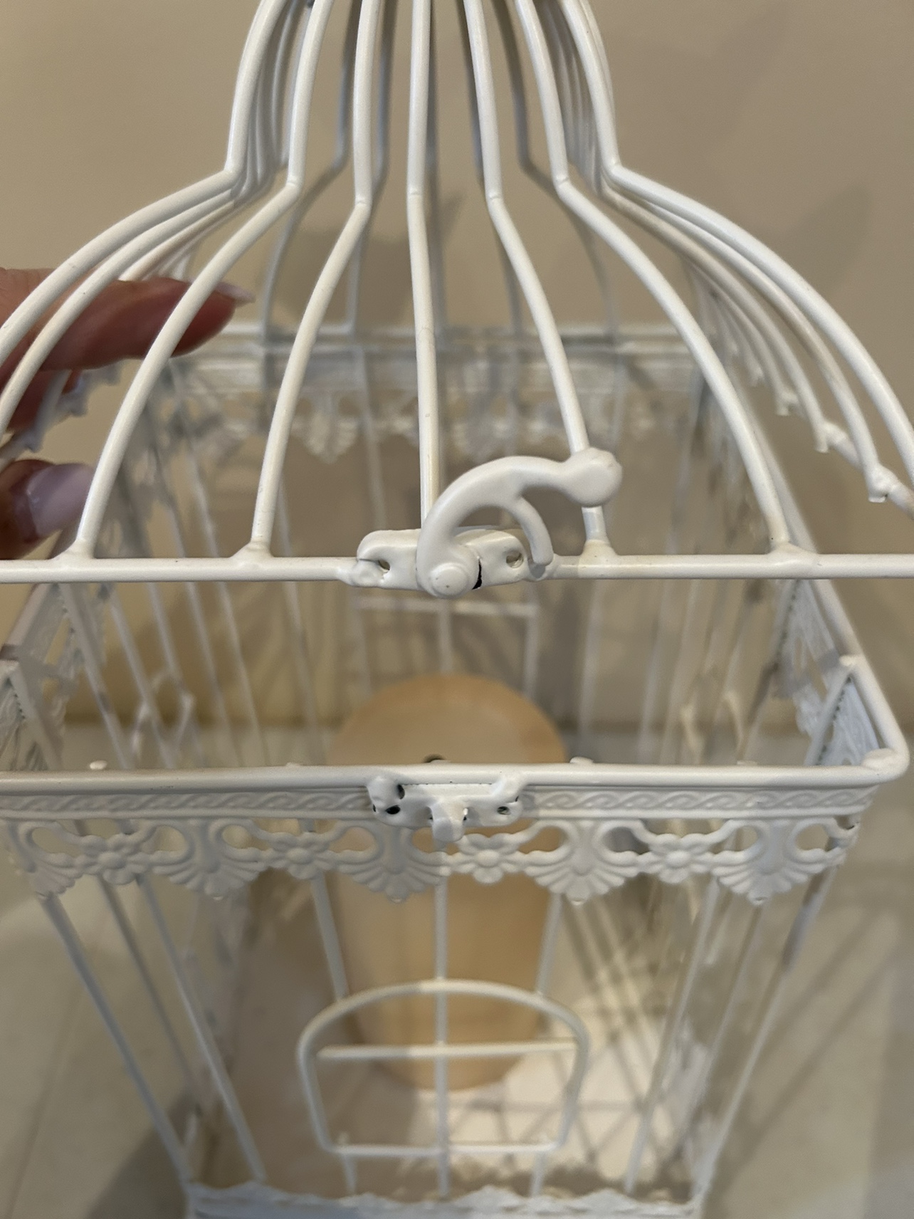 Decorative Bird cage image indicator(3)