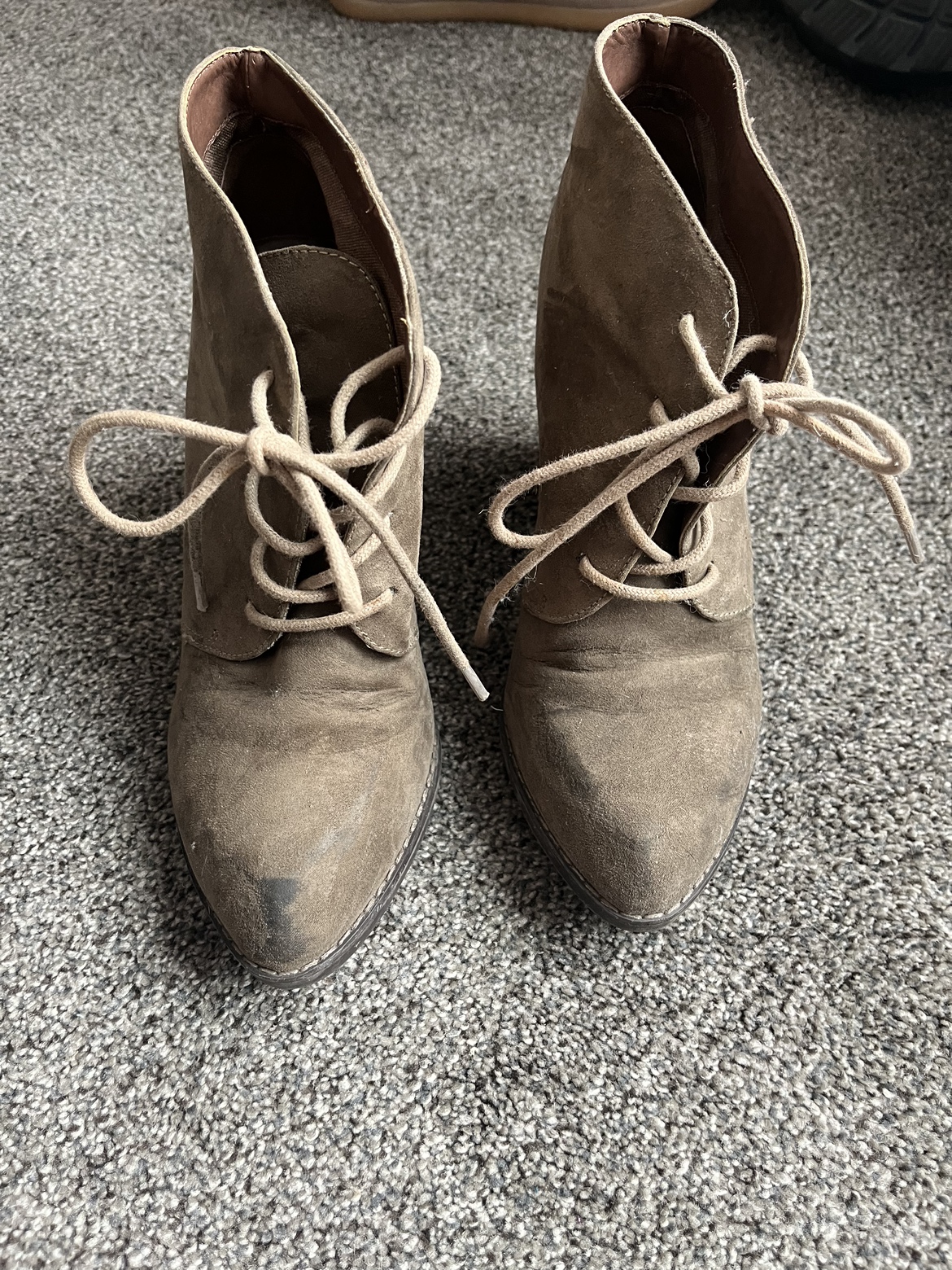 Steve Madden ankle boots thumbnail