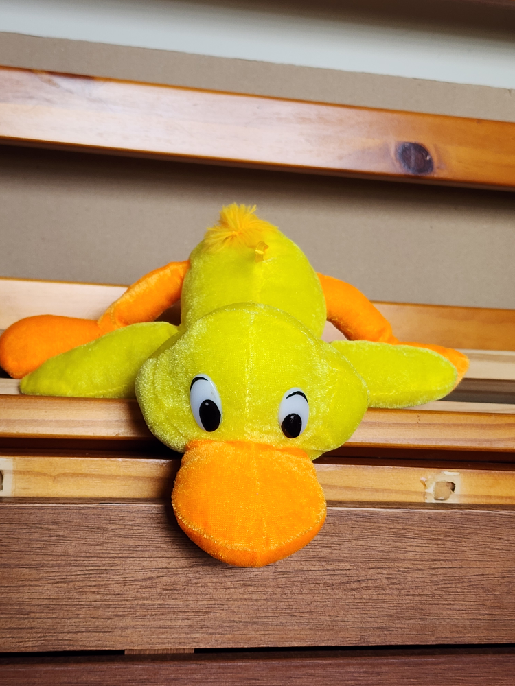 duck stuffy thumbnail