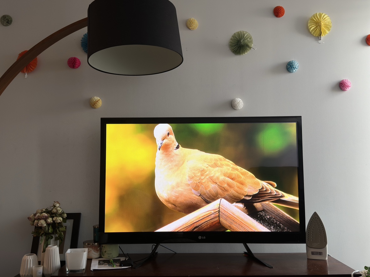 LG TV with Delivery 🚚