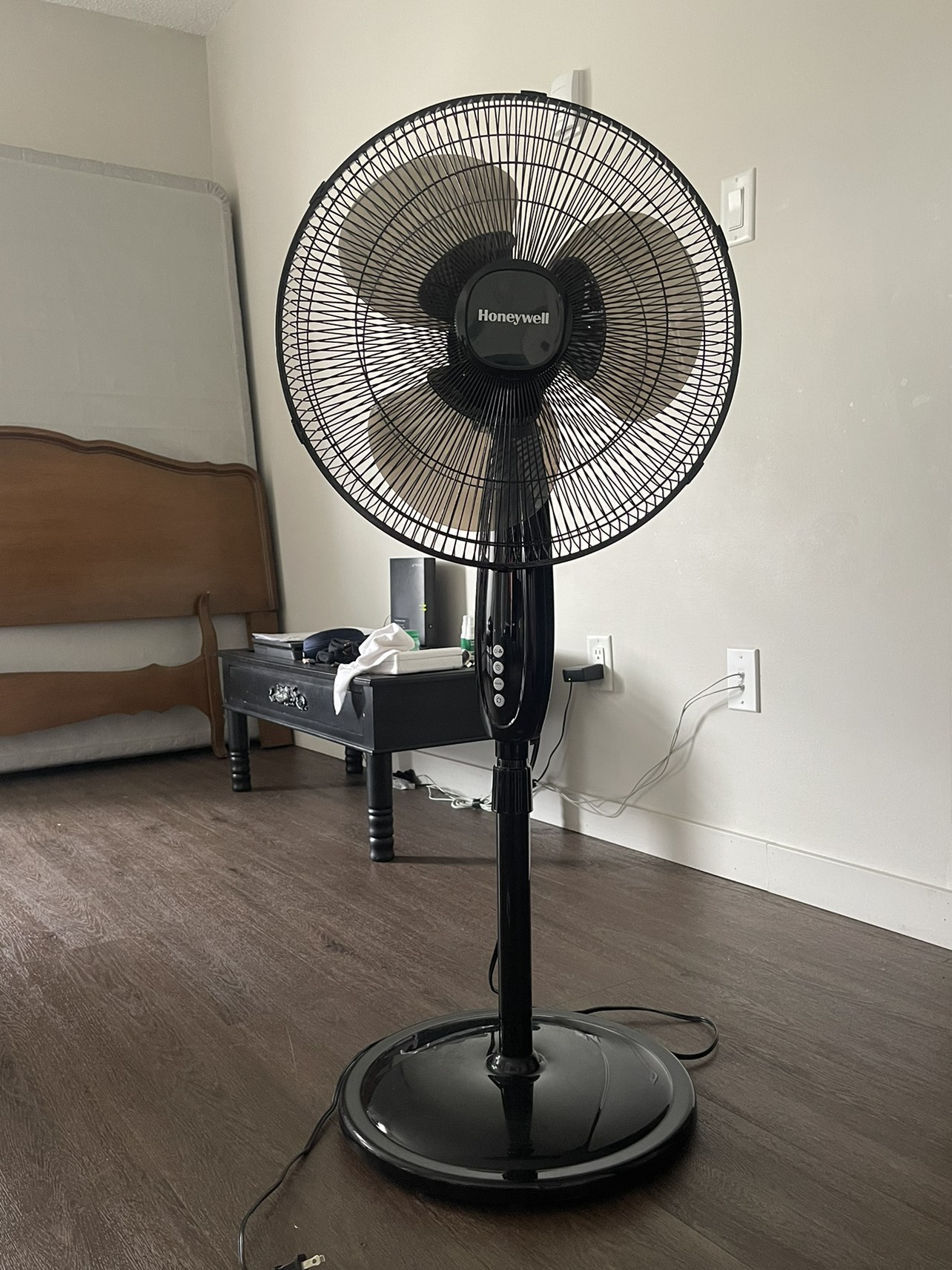 Fan