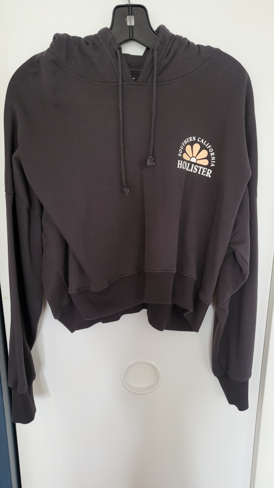 Hollister cropped hoodie