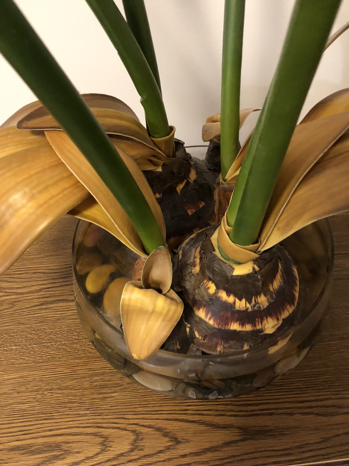 Faux decor flower with vase - photo 4