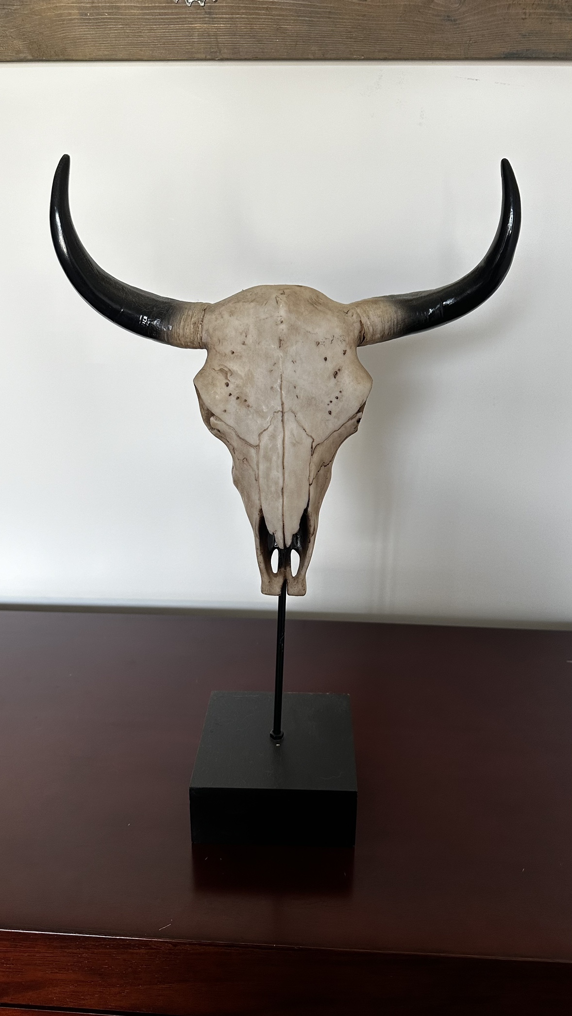 Miniature Bull Skull