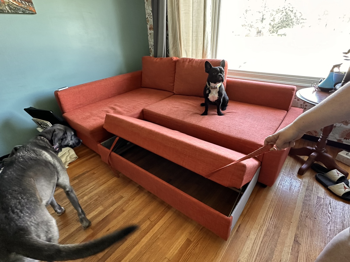 IKEA couch - photo 3