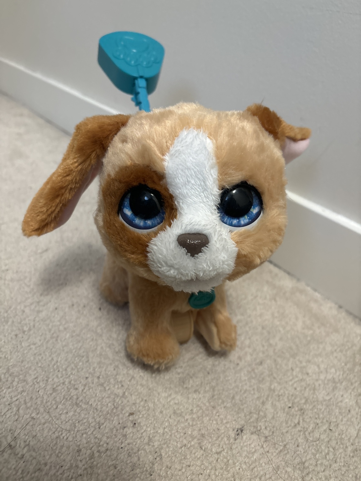 💛puppy dog toy🐶💛 image indicator(2)