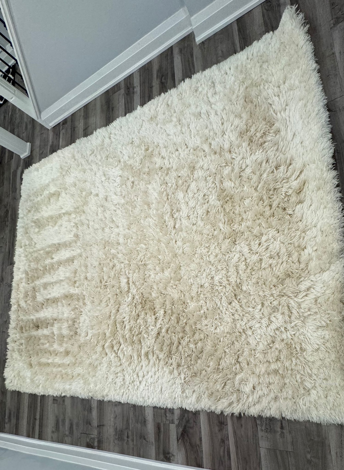Shag Area Rug Ivory - photo 3