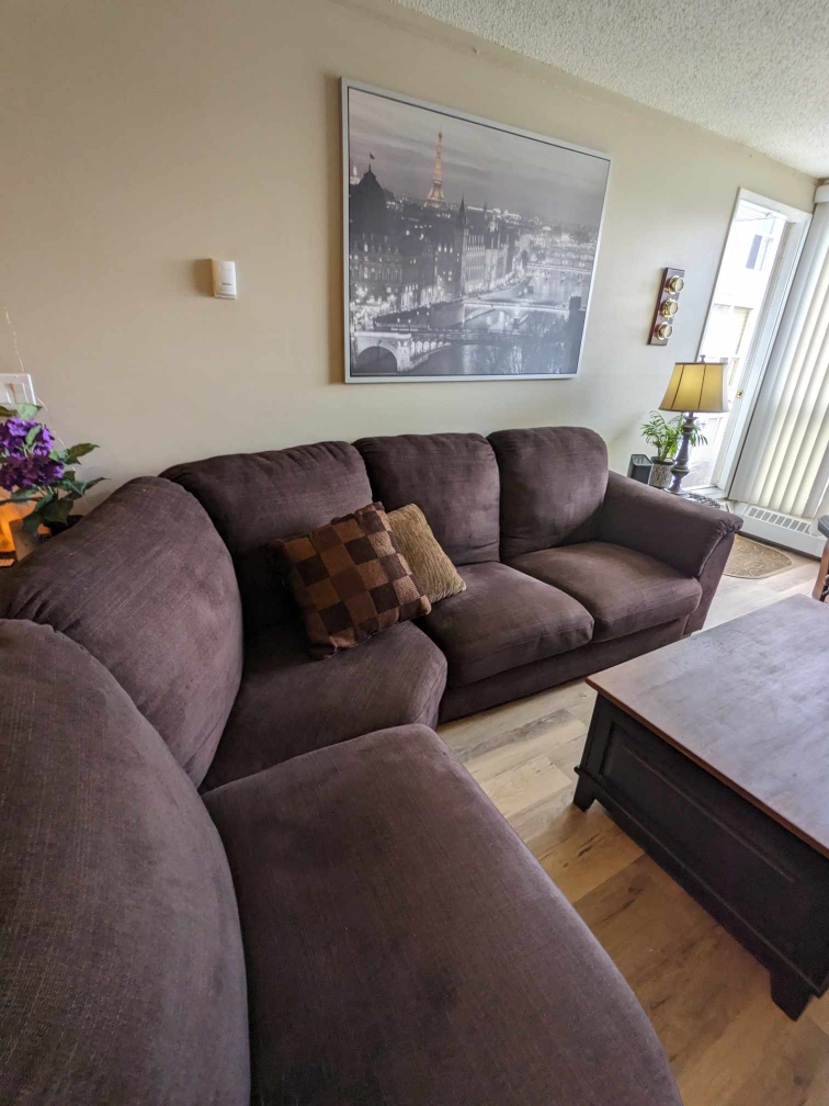 sectional couch - photo 5