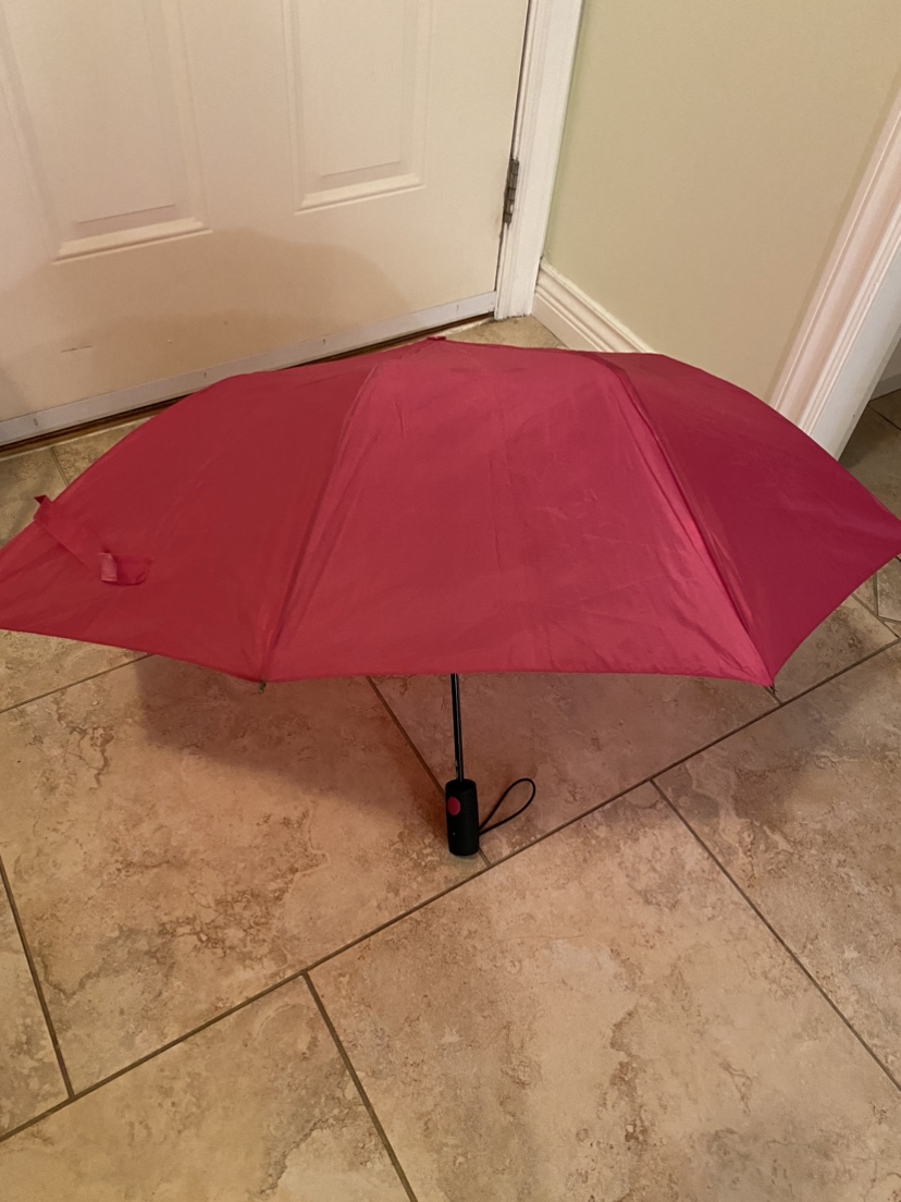 Pink Umbrella