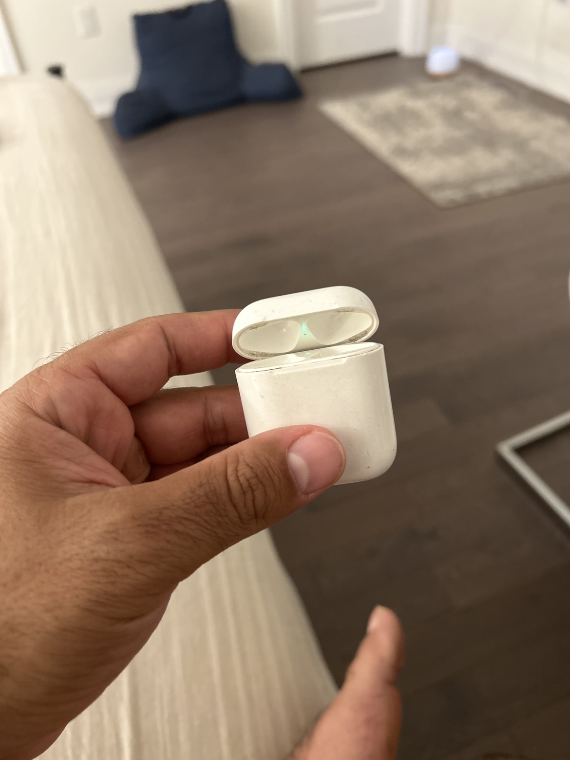 Gen-2 AirPod -Just the case 🥕 - photo 2